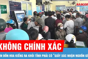 Vĩnh Long: Tin đồn hoa kiểng ra khỏi tỉnh phải có “giấy xác nhận nguồn gốc” là không chính xác