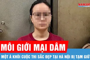 Tạm giữ á khôi cuộc thi sắc đẹp với cáo buộc môi giới mại dâm