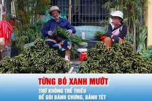 Podcast bản tin tối 11-2: Phiên chợ đặc biệt chỉ họp duy nhất một lần trong năm