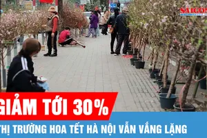 Thị trường hoa tết Hà Nội ảm đạm dù cận tết