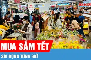 Tết cận kề, người dân tấp nập mua sắm