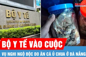 Bộ Y tế vào cuộc vụ nghi ngộ độc sau ăn cá ủ chua ở Đà Nẵng