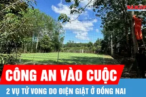 Điều tra 2 vụ điện giật gây tử vong ở Đồng Nai