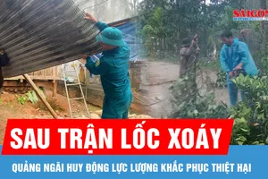 Huy động các lực lượng khắc phục thiệt hại do lốc xoáy gây ra tại Quảng Ngãi