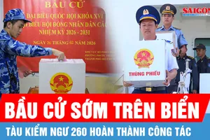 Tàu Kiểm ngư 260 hoàn thành công tác bầu cử sớm trên biển