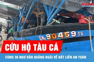 Cứu hộ tàu cá cùng 36 ngư dân Quảng Ngãi về đất liền an toàn