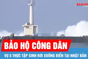 Đại sứ quán Việt Nam bảo hộ công dân trong vụ rơi xuống biển tại Nhật Bản
