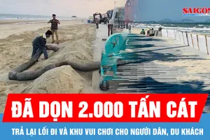 Hơn 2.000 tấn “cát bay” xâm lấn khu vực Bãi Sau đã được dọn