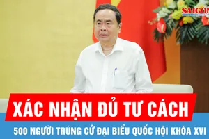 500 người trúng cử đại biểu Quốc hội đều đủ tư cách