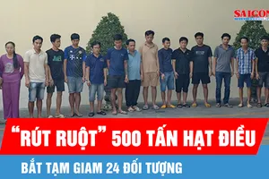 Vụ “rút ruột” 500 tấn hạt điều: Bắt 24 đối tượng