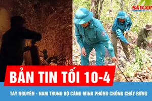 Bản tin tối ngày 10-4: Tây Nguyên - Nam Trung bộ căng mình phòng chống cháy rừng