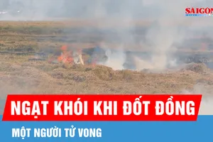 Người phụ nữ tử vong vì ngạt khói khi đốt đồng