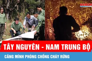 Tây Nguyên - Nam Trung bộ căng mình phòng chống cháy rừng