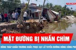 Đồng Tháp khẩn trương khắc phục sạt lở tuyến đường Đông sông Phú An