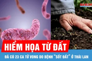 Bộ Y tế khuyến cáo khẩn sau 23 ca tử vong do bệnh “sốt đất” ở Thái Lan