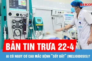 Bản tin trưa 22-4: Ai có nguy cơ cao mắc bệnh “sốt đất” (Melioidosis)?