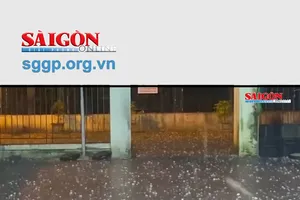 Dông lốc, mưa đá khiến 12 người bị thương
