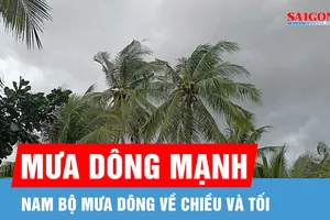 Dự báo Nam bộ mưa dông vào chiều và tối 5-5