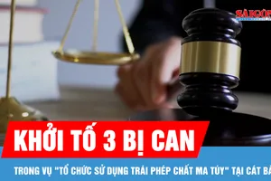 Những ai bị khởi tố trong vụ "Tổ chức sử dụng trái phép chất ma túy" tại Cát Bà