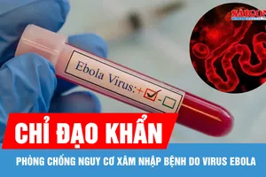 TPHCM tăng cường giám sát cửa khẩu, phòng chống dịch Ebola