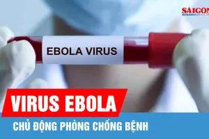 Chủ động phòng chống bệnh do virus Ebola