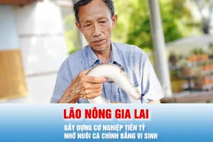 Podcast bản tin tối 7-6: Lão nông Gia Lai gầy dựng cơ nghiệp tiền tỷ nhờ nuôi cá chình bằng vi sinh