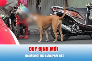 Podcast bản tin tối 12-6: Quy định mới, áp dụng từ 1-8, người nuôi thú cưng cần biết