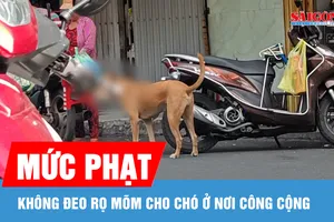 Không đeo rọ mõm cho chó ở nơi công cộng bị phạt tới 2 triệu đồng