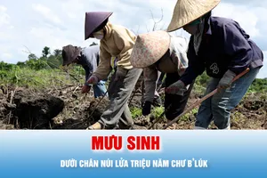 Podcast bản tin tối 20-6: Mưu sinh dưới chân núi lửa triệu năm Chư B’lúk