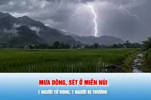 Podcast bản tin tối 26-6: Mưa dông, sét ở miền núi phía Bắc: 1 người tử vong, 1 người bị thương