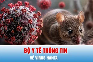 Podcast bản tin tối 3-7: Bộ Y tế thông tin mới nhất về virus Hanta 