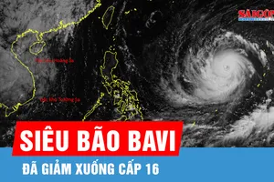 Siêu bão Bavi đã giảm 1 cấp từ sáng 7-7