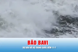 Podcast bản tin thời sự 11-7: Bão Bavi dự báo đổ bộ Trung Quốc đêm 11-7, miền Bắc sắp có đợt mưa lớn