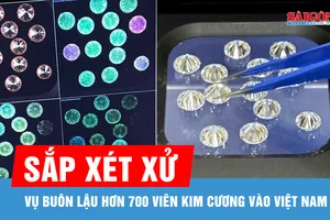 Sắp xét xử vụ buôn lậu hơn 700 viên kim cương vào Việt Nam