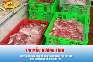 Podcast bản tin trưa 3-8: Chuyển cơ quan công an điều tra vụ gần 1 tấn thịt heo nghi nhiễm dịch tả heo châu Phi 
