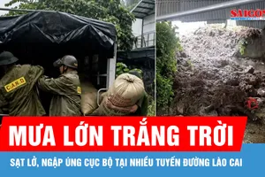 Mưa lớn gây sạt lở, ngập úng cục bộ tại nhiều tuyến đường Lào Cai