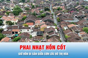 Giữ hồn di sản giữa cơn lốc đô thị hóa - Bài 2: Phai nhạt hồn cốt