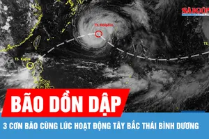 Ba cơn bão cùng hoạt động ở Tây Bắc Thái Bình Dương