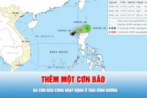Podcast bản tin tối 5-8: Thêm một cơn bão mới hình thành, ba cơn bão cùng hoạt động ở Tây Bắc Thái Bình Dương 
