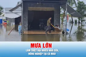 Podcast bản tin thời sự ngày 26-9: Thống kê thiệt hại do mưa lớn kéo dài tại Cà Mau