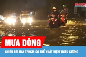 Chiều tối nay TPHCM có thể mưa, triều cường gây ngập