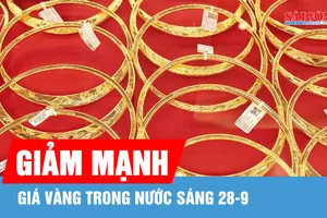 Giá vàng trong nước sáng 28-9: Tiếp tục giảm mạnh