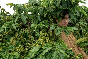 Đen cùng "Những em bé mặt trời" dẫn khán giả khám phá vẻ đẹp Tây Nguyên