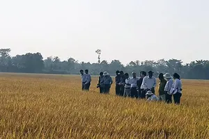 Phân bón Phú Mỹ với sản phẩm cho vùng khô hạn  