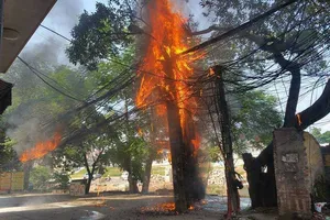 Phòng chống cháy do chập điện