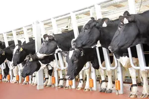 Tập đoàn TH “rủ” nông dân cùng làm giàu