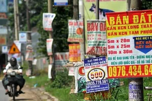 Khó trị cơn sốt đất nền