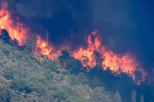 Trám “lỗ hổng”