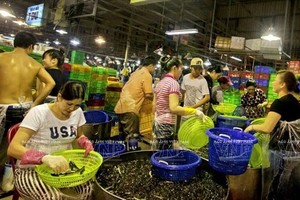 Part of the seafood section at the Binh Dien wholesale market (Photo: VNA)