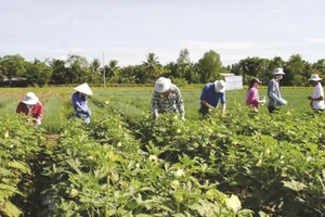 26 int’l students participate in 2017 Syngenta Connections Program